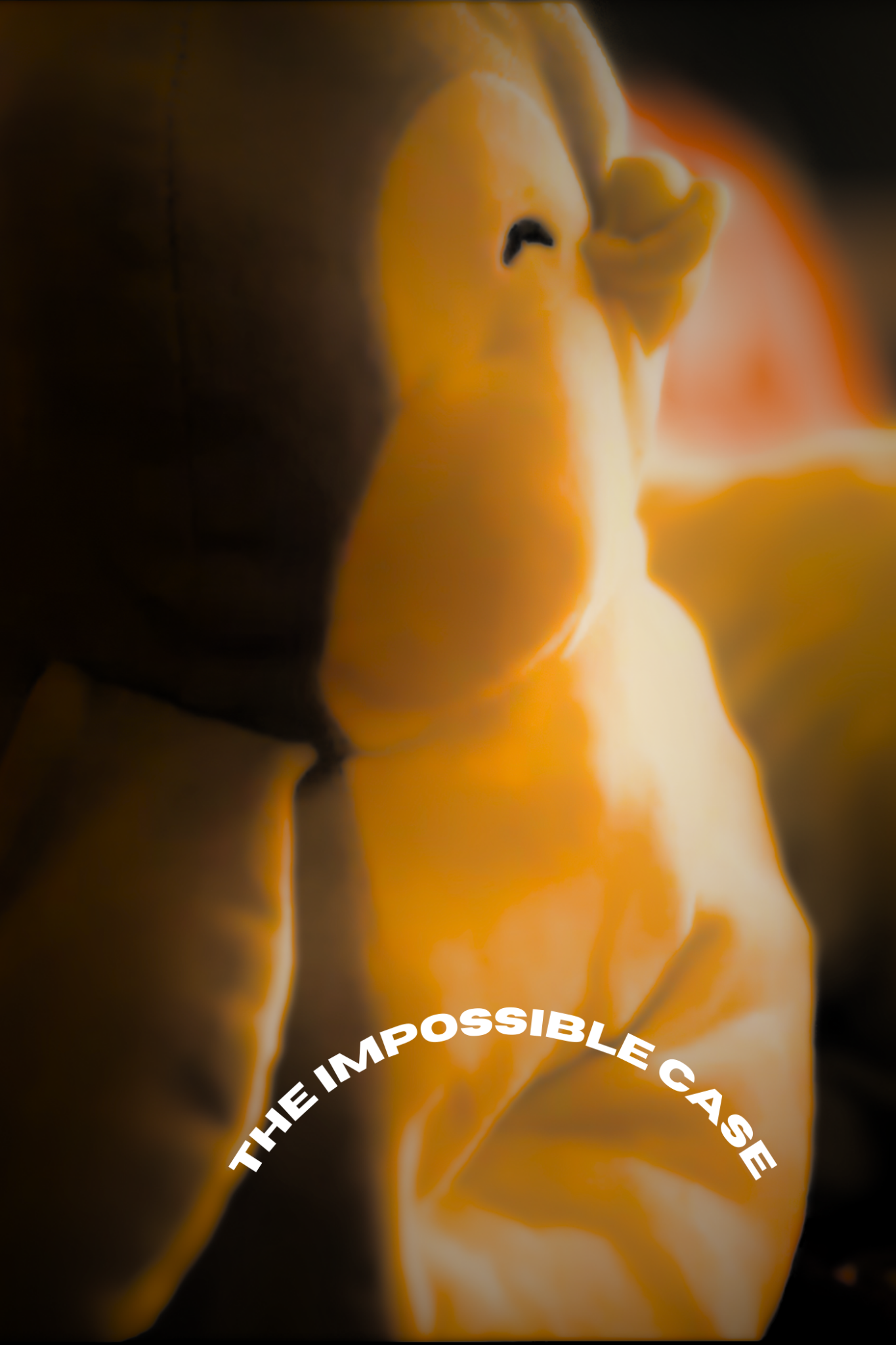 The Impossible Case Poster